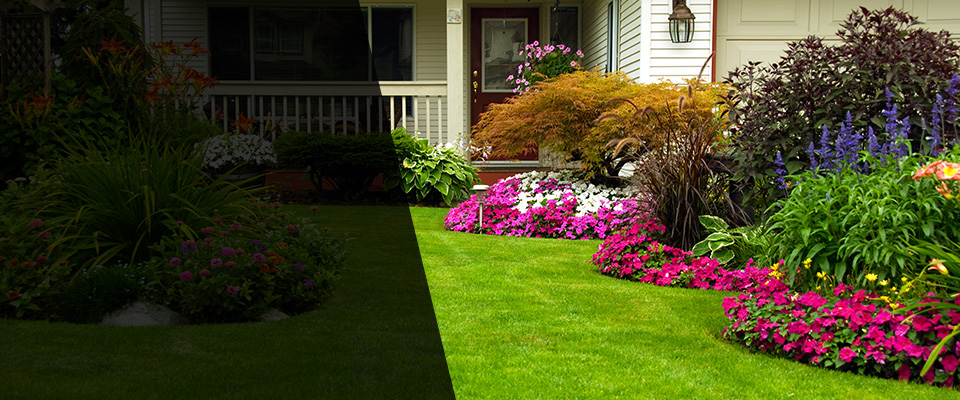Montross Landscapers