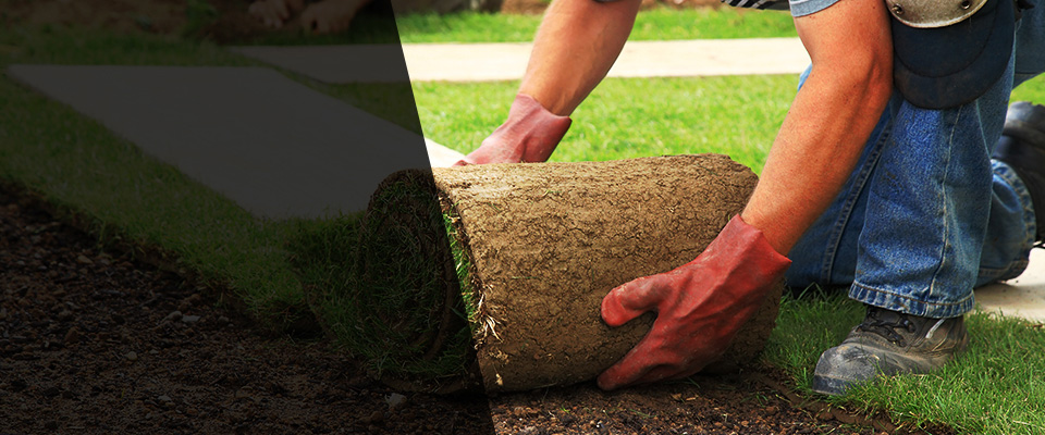 Montross Landscapers